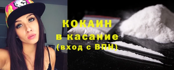крисы Балахна