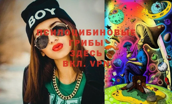 крисы Балахна