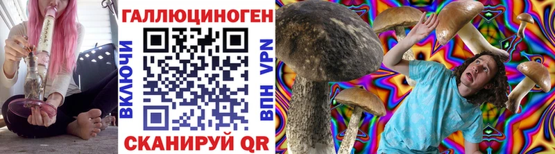 Псилоцибиновые грибы Psilocybine cubensis  Щёкино 
